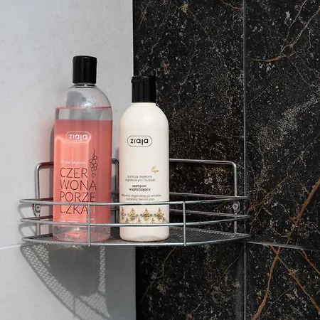 Sowa Deluxe Bbrent Апартаменты Бельско-Бяла