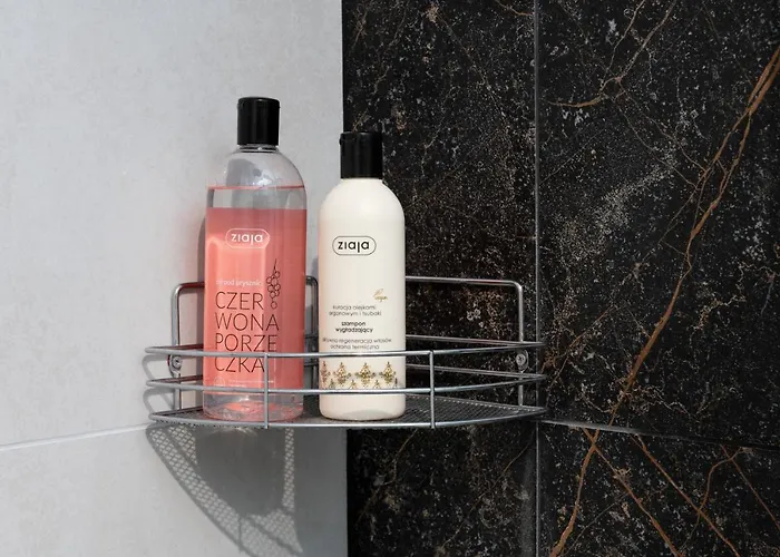 Sowa Deluxe Bbrent Apartament Bielsko-Biała